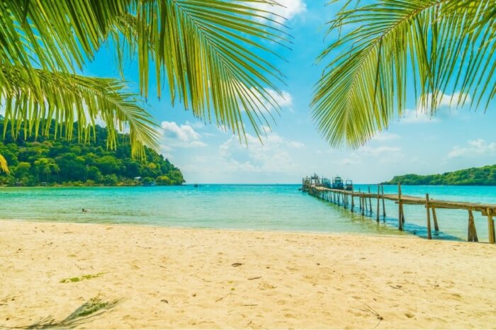 Beach Landscape